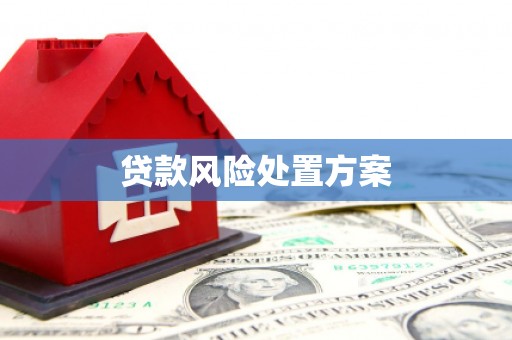 屏山贷款风险处置方案