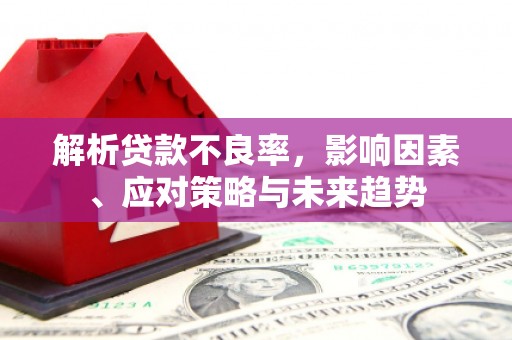 屏山解析贷款不良率，影响因素、应对策略与未来趋势