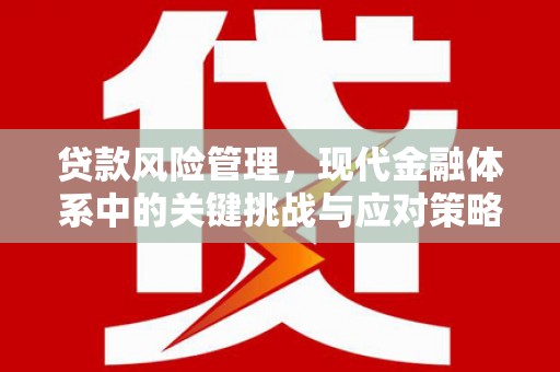 屏山贷款风险管理，现代金融体系中的关键挑战与应对策略