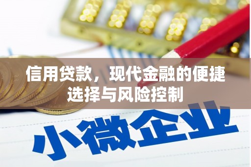 屏山信用贷款，现代金融的便捷选择与风险控制