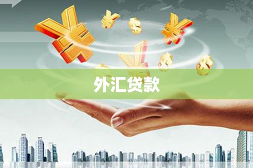 屏山外汇贷款