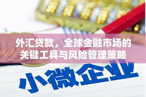 屏山外汇贷款，全球金融市场的关键工具与风险管理策略