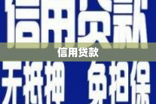 屏山信用贷款
