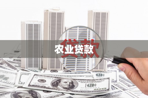 屏山农业贷款