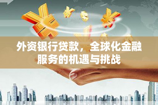 屏山外资银行贷款，全球化金融服务的机遇与挑战