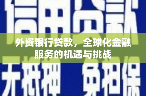 屏山外资银行贷款，全球化金融服务的机遇与挑战