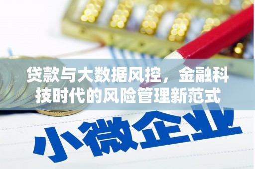 屏山贷款与大数据风控，金融科技时代的风险管理新范式