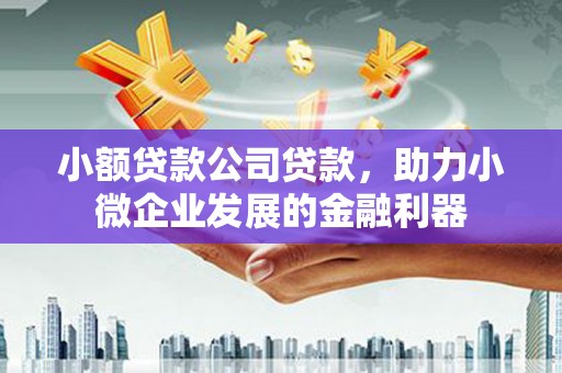 屏山小额贷款公司贷款，助力小微企业发展的金融利器