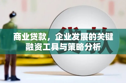 屏山商业贷款，企业发展的关键融资工具与策略分析