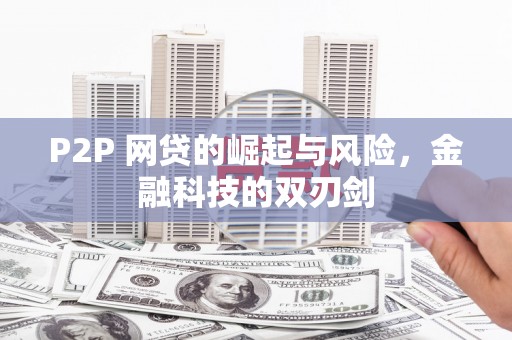屏山P2P 网贷的崛起与风险，金融科技的双刃剑