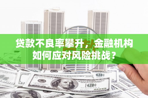 屏山贷款不良率攀升，金融机构如何应对风险挑战？