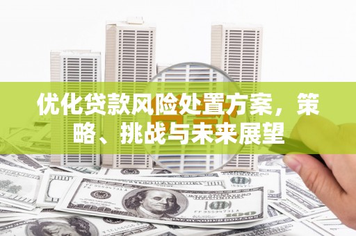 屏山优化贷款风险处置方案，策略、挑战与未来展望
