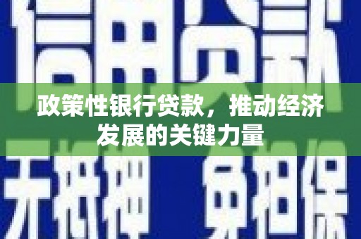 屏山政策性银行贷款，推动经济发展的关键力量
