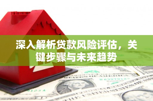 屏山深入解析贷款风险评估，关键步骤与未来趋势