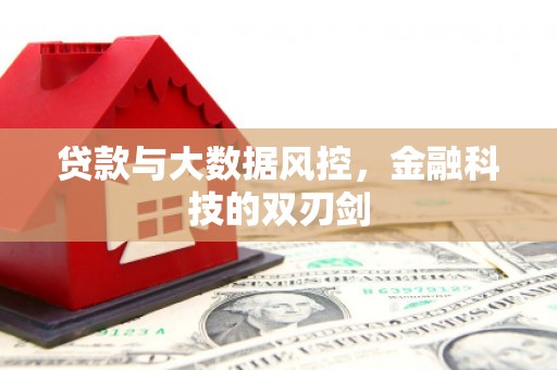 屏山贷款与大数据风控，金融科技的双刃剑