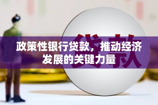 屏山政策性银行贷款，推动经济发展的关键力量