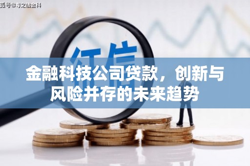 屏山金融科技公司贷款，创新与风险并存的未来趋势