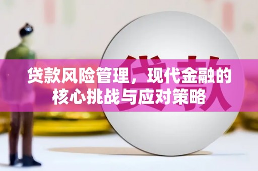 屏山贷款风险管理，现代金融的核心挑战与应对策略