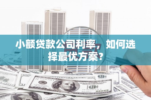 屏山小额贷款公司利率，如何选择最优方案？