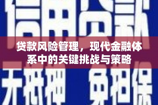 屏山贷款风险管理，现代金融体系中的关键挑战与策略
