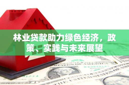 屏山林业贷款助力绿色经济，政策、实践与未来展望