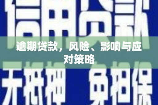 屏山逾期贷款，风险、影响与应对策略