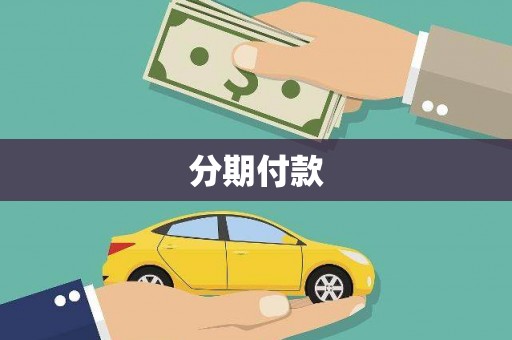 屏山分期付款