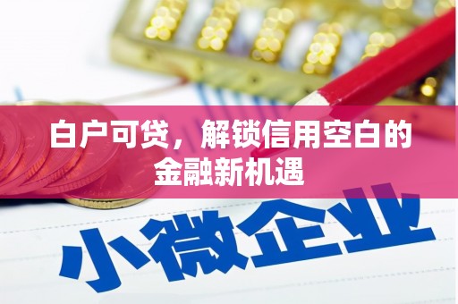 屏山白户可贷，解锁信用空白的金融新机遇