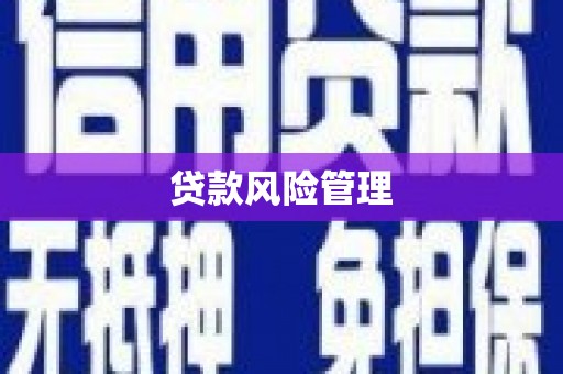 屏山贷款风险管理