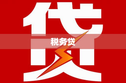 屏山税务贷