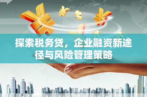 屏山探索税务贷，企业融资新途径与风险管理策略