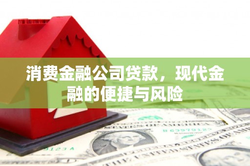 屏山消费金融公司贷款，现代金融的便捷与风险