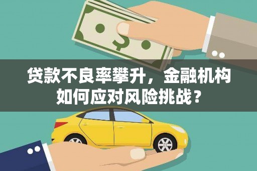屏山贷款不良率攀升，金融机构如何应对风险挑战？