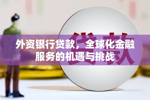 屏山外资银行贷款，全球化金融服务的机遇与挑战