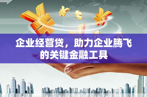 屏山企业经营贷，助力企业腾飞的关键金融工具