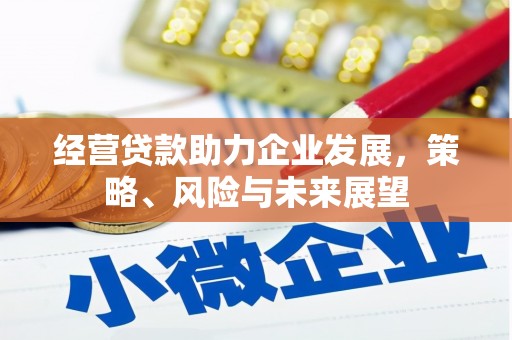 屏山经营贷款助力企业发展，策略、风险与未来展望