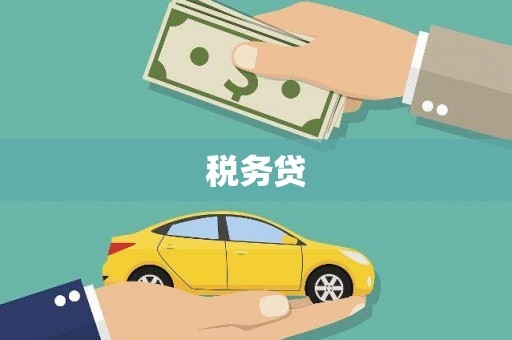 屏山税务贷