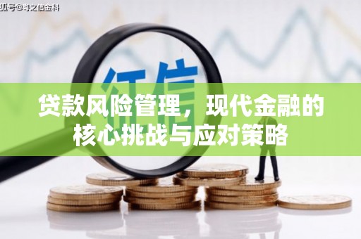 屏山贷款风险管理，现代金融的核心挑战与应对策略