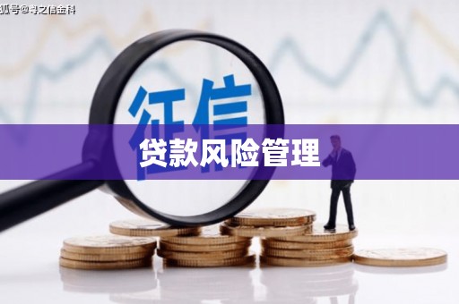 屏山贷款风险管理