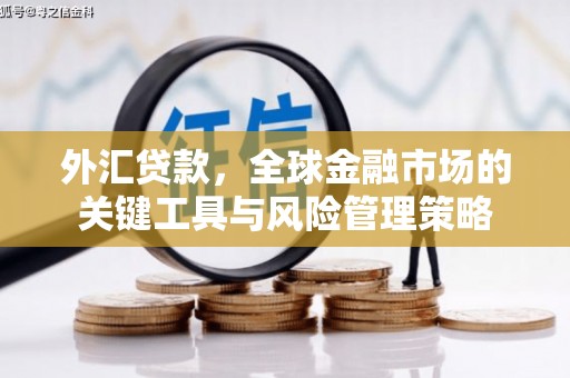 屏山外汇贷款，全球金融市场的关键工具与风险管理策略