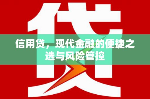 屏山信用贷，现代金融的便捷之选与风险管控