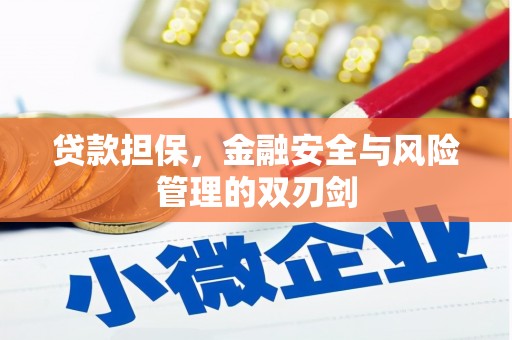 屏山贷款担保，金融安全与风险管理的双刃剑