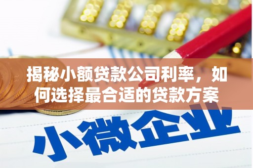 屏山揭秘小额贷款公司利率，如何选择最合适的贷款方案