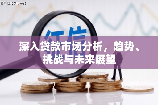 屏山深入贷款市场分析，趋势、挑战与未来展望