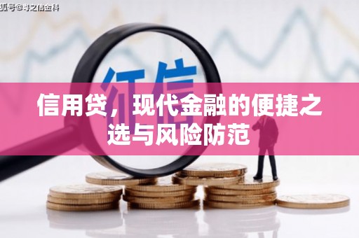 屏山信用贷，现代金融的便捷之选与风险防范