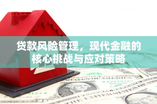 屏山贷款风险管理，现代金融的核心挑战与应对策略