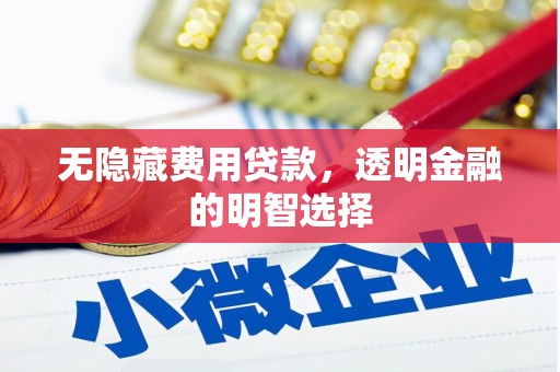 屏山无隐藏费用贷款，透明金融的明智选择