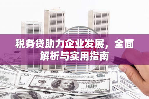屏山税务贷助力企业发展，全面解析与实用指南