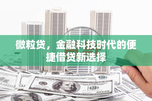 屏山微粒贷，金融科技时代的便捷借贷新选择