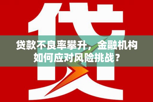 屏山贷款不良率攀升，金融机构如何应对风险挑战？
